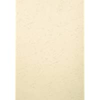 Exacompta 2785C - Lote de 100 cubiertas-cartulinas de dossiers- A3- color marfil